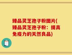 臻品灵芝孢子粉图片(臻品灵芝孢子粉：提高免疫力的天然良品)