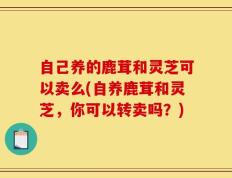 自己养的鹿茸和灵芝可以卖么(自养鹿茸和灵芝，你可以转卖吗？)