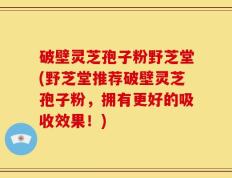 破壁灵芝孢子粉野芝堂(野芝堂推荐破壁灵芝孢子粉，拥有更好的吸收效果！)