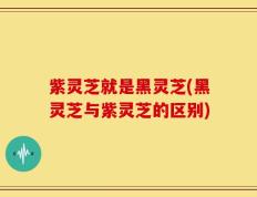 紫灵芝就是黑灵芝(黑灵芝与紫灵芝的区别)