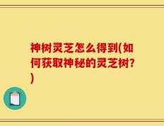 神树灵芝怎么得到(如何获取神秘的灵芝树？)