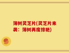 簿树灵芝片(灵芝片来袭：簿树再度惊艳)