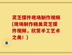 灵芝摆件现场制作视频(现场制作精美灵芝摆件视频，欣赏手工艺术之美！)