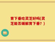 胃下垂吃灵芝好吗(灵芝能否缓解胃下垂？)