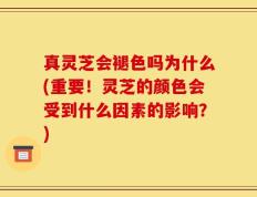 真灵芝会褪色吗为什么(重要！灵芝的颜色会受到什么因素的影响？)