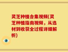 灵芝种植合集视频(灵芝种植指南视频，从选材到收获全过程详细解析)