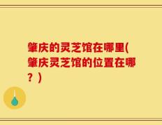 肇庆的灵芝馆在哪里(肇庆灵芝馆的位置在哪？)
