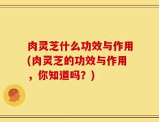 肉灵芝什么功效与作用(肉灵芝的功效与作用，你知道吗？)