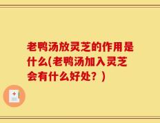老鸭汤放灵芝的作用是什么(老鸭汤加入灵芝会有什么好处？)