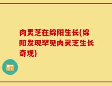 肉灵芝在绵阳生长(绵阳发现罕见肉灵芝生长奇观)