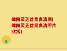 绵阳灵芝盆景高清图(绵阳灵芝盆景高清照片欣赏)