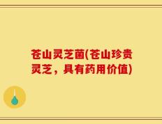 苍山灵芝菌(苍山珍贵灵芝，具有药用价值)
