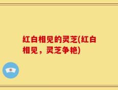 红白相见的灵芝(红白相见，灵芝争艳)