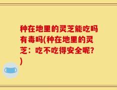 种在地里的灵芝能吃吗有毒吗(种在地里的灵芝：吃不吃得安全呢？)