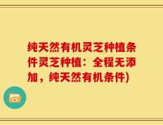 纯天然有机灵芝种植条件灵芝种植：全程无添加，纯天然有机条件)