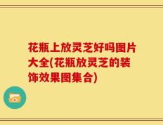 花瓶上放灵芝好吗图片大全(花瓶放灵芝的装饰效果图集合)