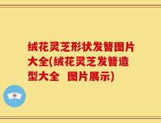 绒花灵芝形状发簪图片大全(绒花灵芝发簪造型大全  图片展示)