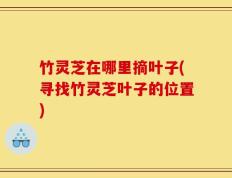 竹灵芝在哪里摘叶子(寻找竹灵芝叶子的位置)