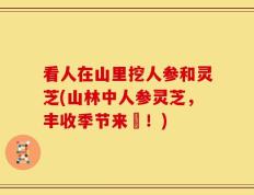 看人在山里挖人参和灵芝(山林中人参灵芝，丰收季节来臨！)