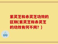 紫灵芝和赤灵芝功效的区别(紫灵芝和赤灵芝的功效有何不同？)