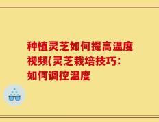 种植灵芝如何提高温度视频(灵芝栽培技巧：如何调控温度