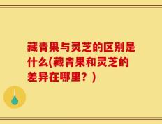 藏青果与灵芝的区别是什么(藏青果和灵芝的差异在哪里？)