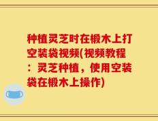 种植灵芝时在椴木上打空装袋视频(视频教程：灵芝种植，使用空装袋在椴木上操作)