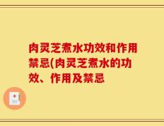 肉灵芝煮水功效和作用禁忌(肉灵芝煮水的功效、作用及禁忌