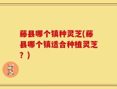 藤县哪个镇种灵芝(藤县哪个镇适合种植灵芝？)