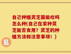 自己种植灵芝菌能吃吗怎么种(自己在家种灵芝能否食用？灵芝的种植方法和注意事项！)