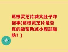 葛根灵芝片减大肚子咋回事(葛根灵芝片是否真的能帮助减小腹部脂肪？)