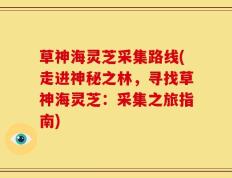 草神海灵芝采集路线(走进神秘之林，寻找草神海灵芝：采集之旅指南)
