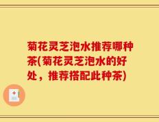 菊花灵芝泡水推荐哪种茶(菊花灵芝泡水的好处，推荐搭配此种茶)