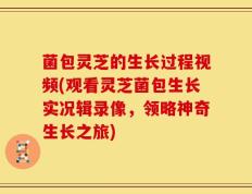 菌包灵芝的生长过程视频(观看灵芝菌包生长实况辑录像，领略神奇生长之旅)