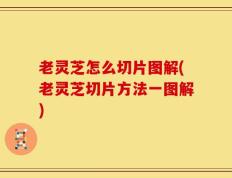 老灵芝怎么切片图解(老灵芝切片方法一图解)