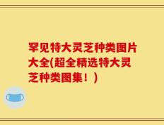 罕见特大灵芝种类图片大全(超全精选特大灵芝种类图集！)