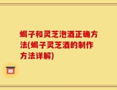 蝎子和灵芝泡酒正确方法(蝎子灵芝酒的制作方法详解)