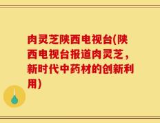 肉灵芝陕西电视台(陕西电视台报道肉灵芝，新时代中药材的创新利用)