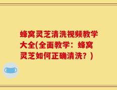蜂窝灵芝清洗视频教学大全(全面教学：蜂窝灵芝如何正确清洗？)