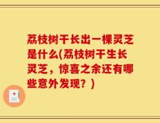 荔枝树干长出一棵灵芝是什么(荔枝树干生长灵芝，惊喜之余还有哪些意外发现？)