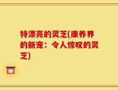 特漂亮的灵芝(康养界的新宠：令人惊叹的灵芝)