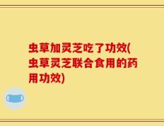 虫草加灵芝吃了功效(虫草灵芝联合食用的药用功效)