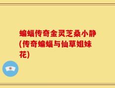 蝙蝠传奇金灵芝桑小静(传奇蝙蝠与仙草姐妹花)