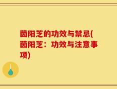 茵阳芝的功效与禁忌(茵阳芝：功效与注意事项)