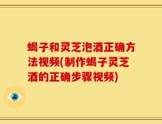 蝎子和灵芝泡酒正确方法视频(制作蝎子灵芝酒的正确步骤视频)