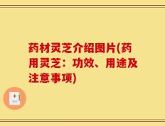 药材灵芝介绍图片(药用灵芝：功效、用途及注意事项)