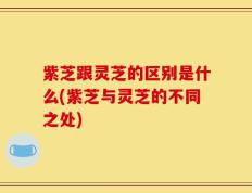 紫芝跟灵芝的区别是什么(紫芝与灵芝的不同之处)