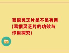 葛根灵芝片是不是有用(葛根灵芝片的功效与作用探究)