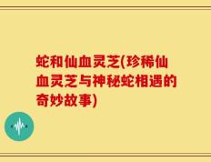 蛇和仙血灵芝(珍稀仙血灵芝与神秘蛇相遇的奇妙故事)