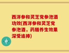 西洋参和灵芝党参泡酒功效(西洋参和灵芝党参泡酒，药膳养生效果深受追捧)